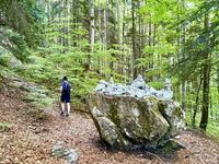 la montée vers le Reculet la montée vers le Reculet